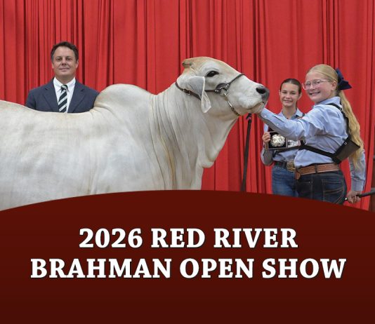 2026 Red River Brahman Open Show