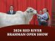 2026 Red River Brahman Open Show