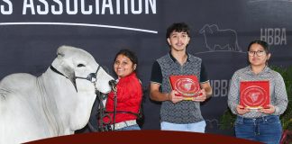 2026 Southeastern International Livestock SILS Open Brahman Show