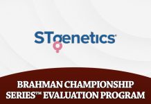 STgenetics Brahman Championship Series; Evaluation Program
