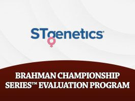 STgenetics Brahman Championship Series; Evaluation Program