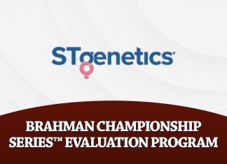 STgenetics Brahman Championship Series; Evaluation Program