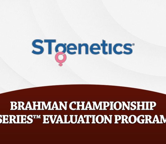 STgenetics Brahman Championship Series; Evaluation Program