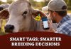 Digital Phenotyping: Smart Tags, Smarter Breeding Decisions
