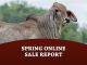 Spring Online Sale Report