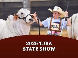 2026 TJBA State Show