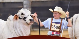 2026 TJBA State Show