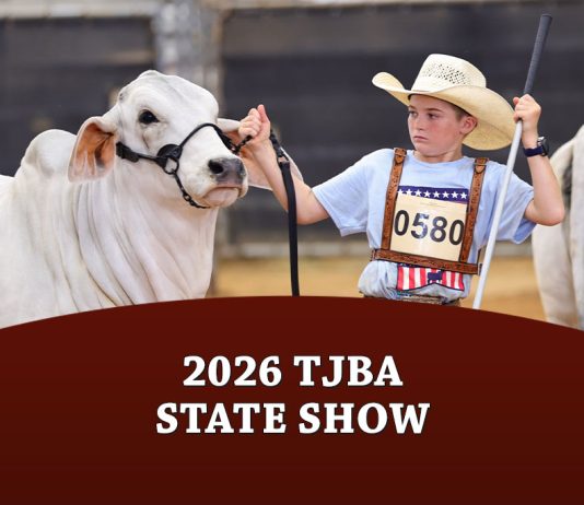 2026 TJBA State Show