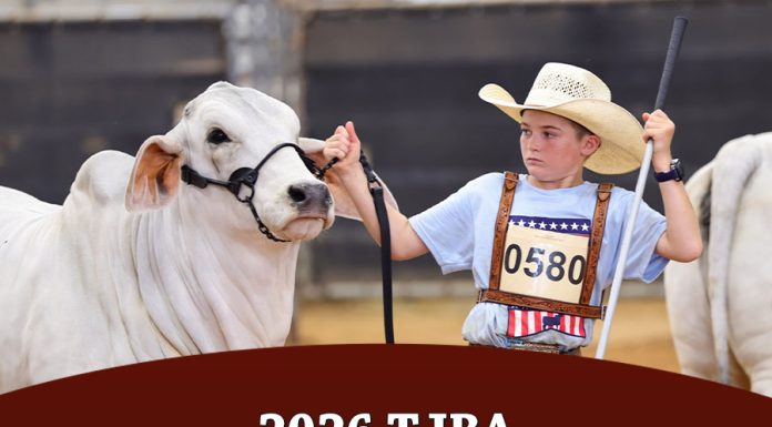 2026 TJBA State Show