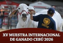 XV Muestra Internacional De Ganado Cebú 2026