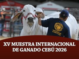 XV Muestra Internacional De Ganado Cebú 2026