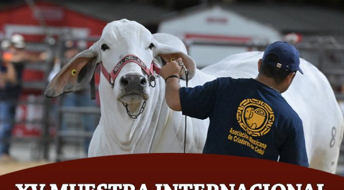 XV Muestra Internacional De Ganado Cebú 2026