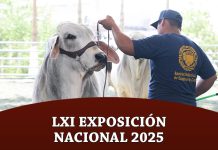 LXI Exposición Nacional 2025