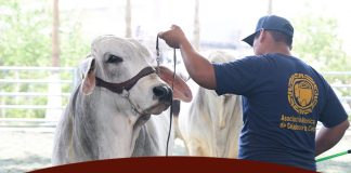 LXI Exposición Nacional 2025