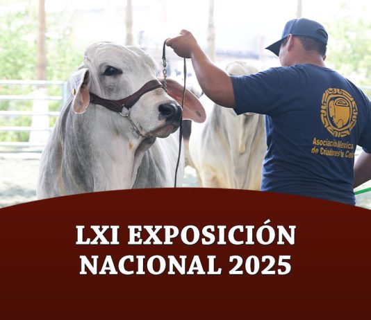 LXI Exposición Nacional 2025