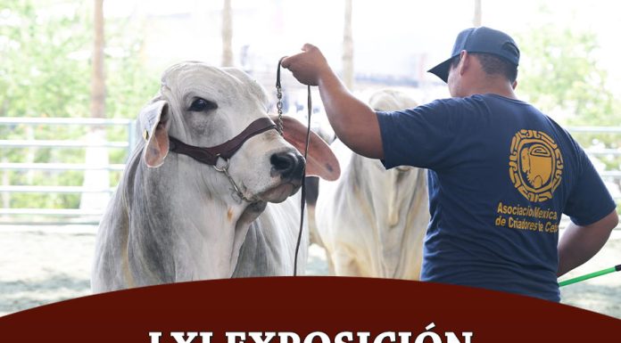LXI Exposición Nacional 2025