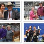 ABBA-International-Brahman-Sale-Report-photos