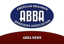 ABBA Association News