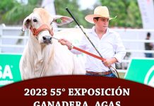 2023 55° Exposición Ganadera, Agrícola, Comercial e Industrial AGAS