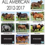 August-All-American-2017-Red-Top-Sires