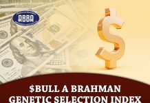 $Bull a Brahman Genetic Selection Index