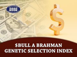 $Bull a Brahman Genetic Selection Index