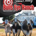 BullsEyeCatalog-cover