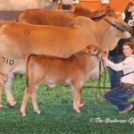 Class-23-Winner-&-Res-Senior-Champ