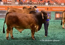 2017 Houston Results – Red Bull Intermediate Division Class-38-Winner-&-Int-Champ