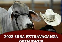 2023 EBBA Extravaganza Open Show