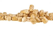 Feed Efficiency and How It’s Measured