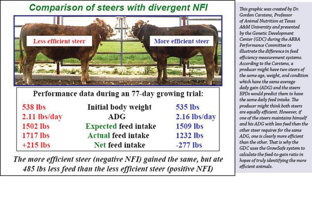 Feed Efficiency and How It’s Measured The Brahman Journal