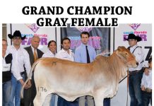 2017 South Florida Fair FI-2017-South-Florida-Fair-tbj