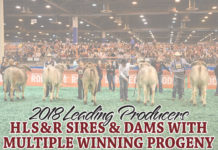 2018 Leading Producers