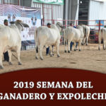 FI-2019-Ganadero-y-Expoleche