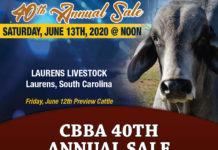 CBBA 2020 Sale Catalog FI-2020-CBBA-sale