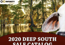 2020 Deep South Sale Catalog FI-2020-Deep-South-Sale-Catalog