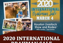 2020 ABBA International Sale Catalog FI-2020-International-Sale-Catalog