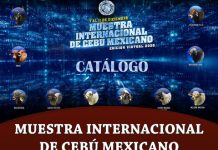 Muestra Internacional Cebu Mexicano – Catalogo de Subasta FI 2020 MUESTRA internacional de cebu mexicano