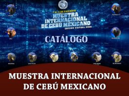 Muestra Internacional Cebu Mexicano – Catalogo de Subasta FI 2020 MUESTRA internacional de cebu mexicano