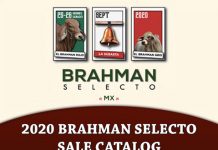 Brahman Selecto Sale Catalog 2020 brahmanselecto catalog