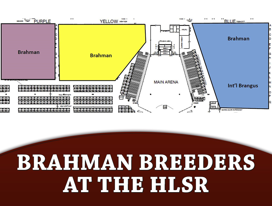 Brahman Breeders at the HLSR The Brahman Journal