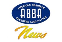 2017 August ABBA News