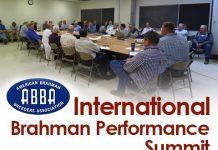ABBA International Brahman Performance Summit