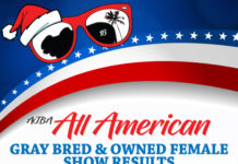 2018 All American – BO Gray Female Show FI-All-American-Gray-BOFemale-Show-Results