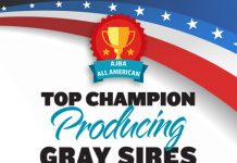 2017 All American – Top Champion Producing Gray Sires
