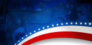 2017 All American – F1 Female Show