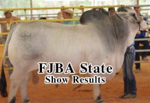2017 FJBA State Show