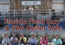 Florida Field Day & FBA Heifer Sale