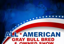 2017 All American – Gray Bull Bred & Owned Show